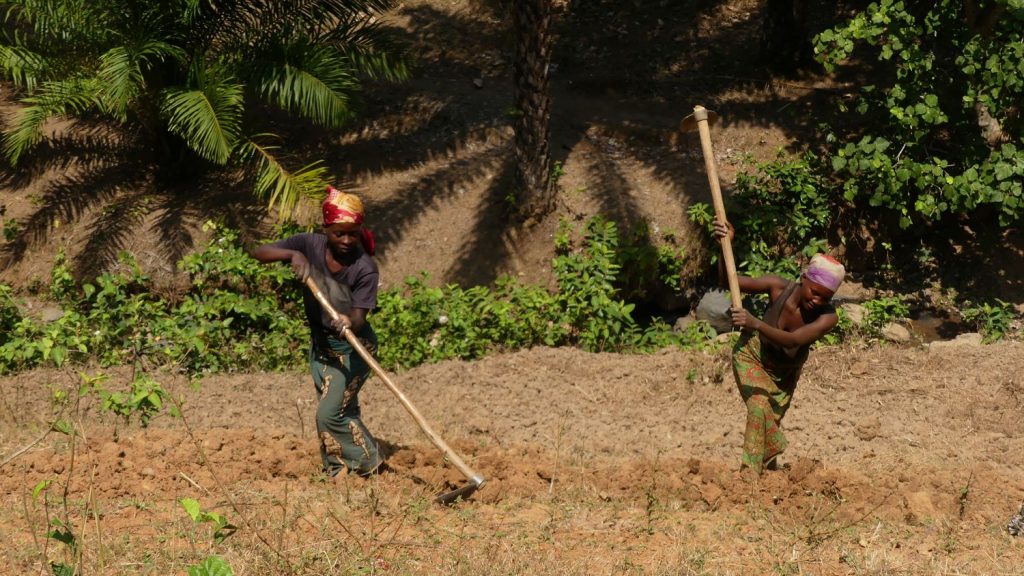 Femmes en train de labourer les champs